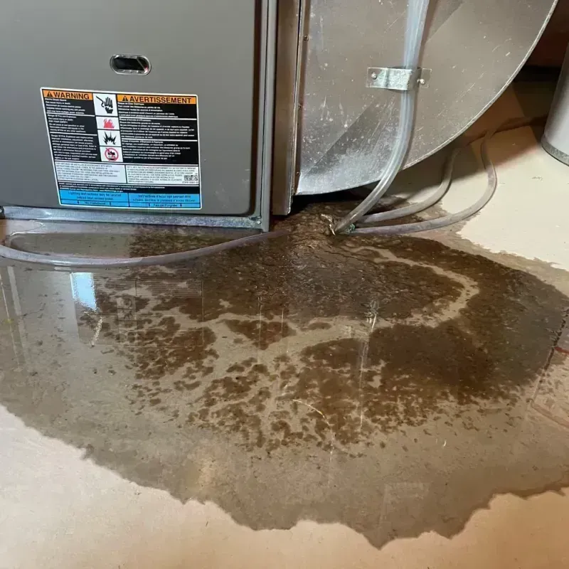 Appliance Leak Cleanup in Cooper, TX